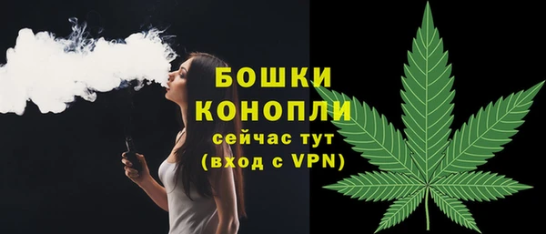 винт Няндома