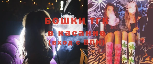винт Няндома